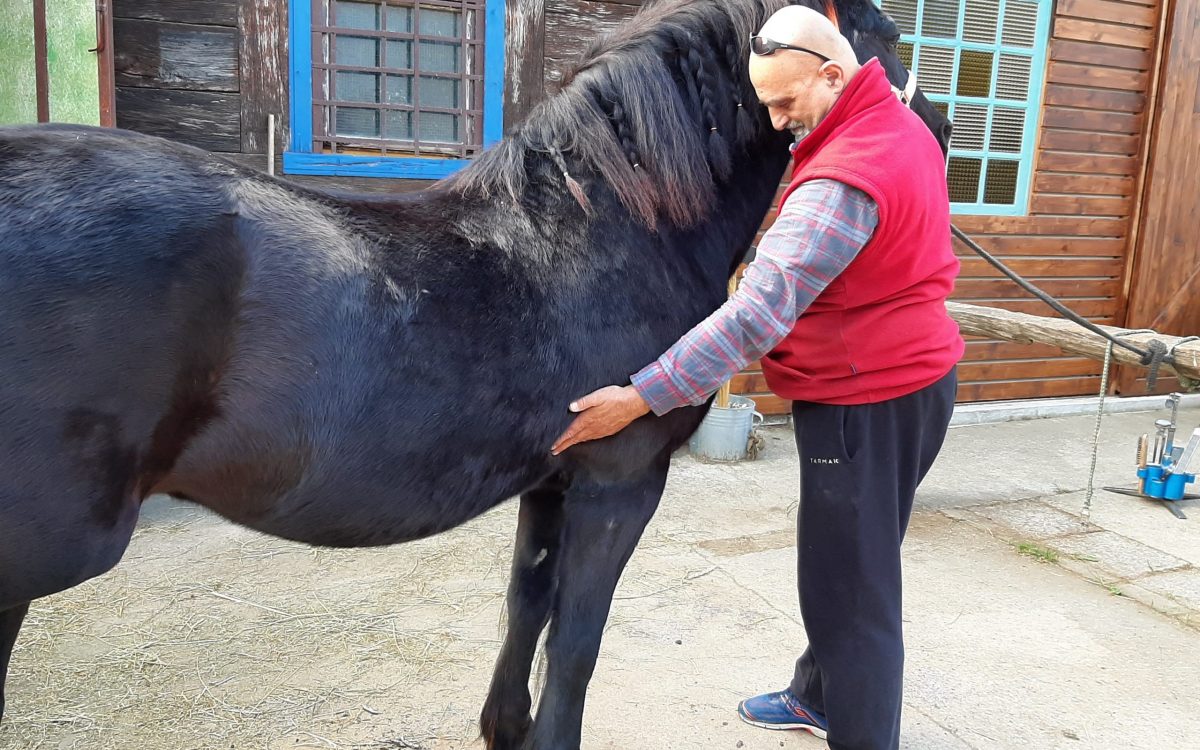 106339169_283379413015686_8317422319284066477_n