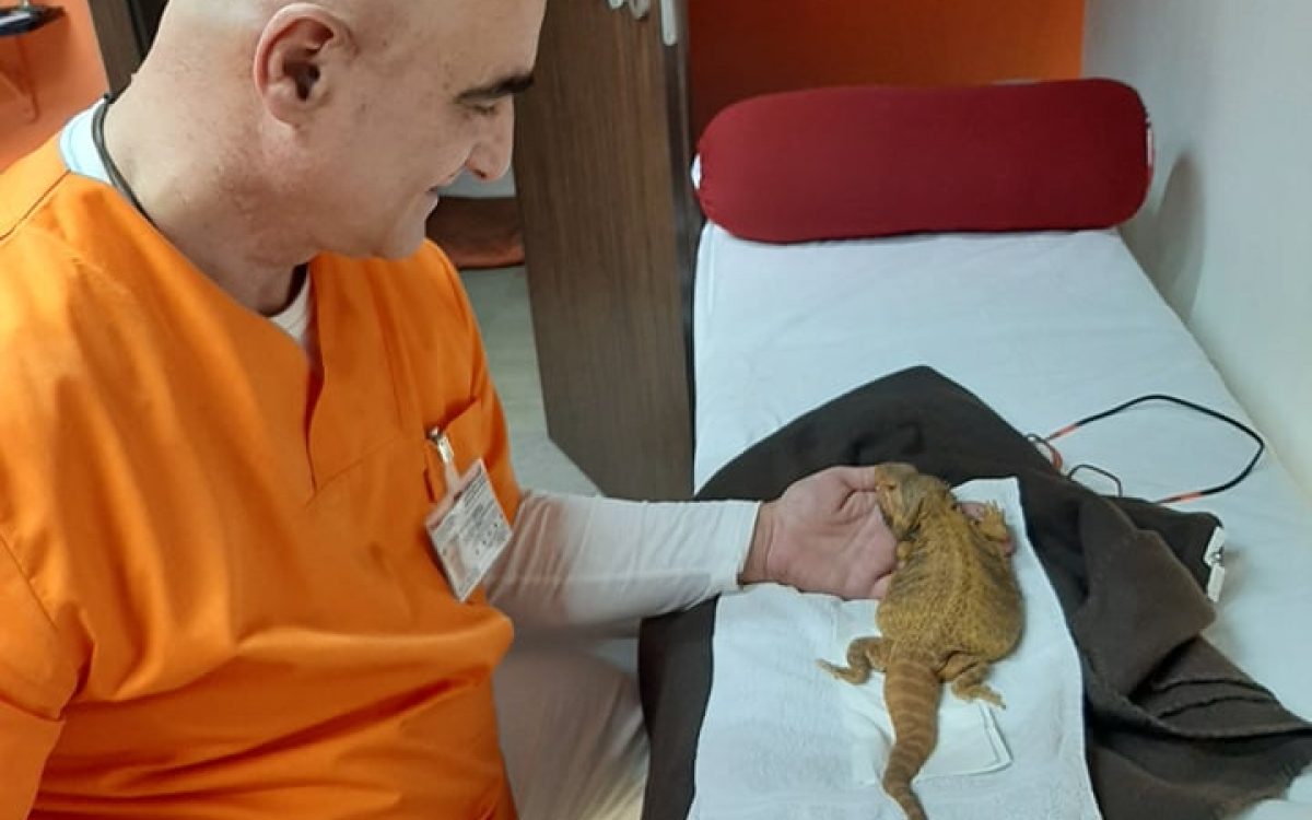 117328914_623192728603923_8257899969809576598_n