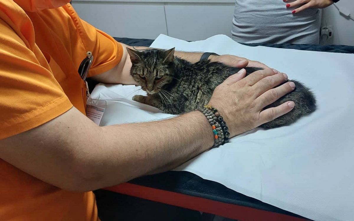 312154185_823200582139108_3132739592802854507_n