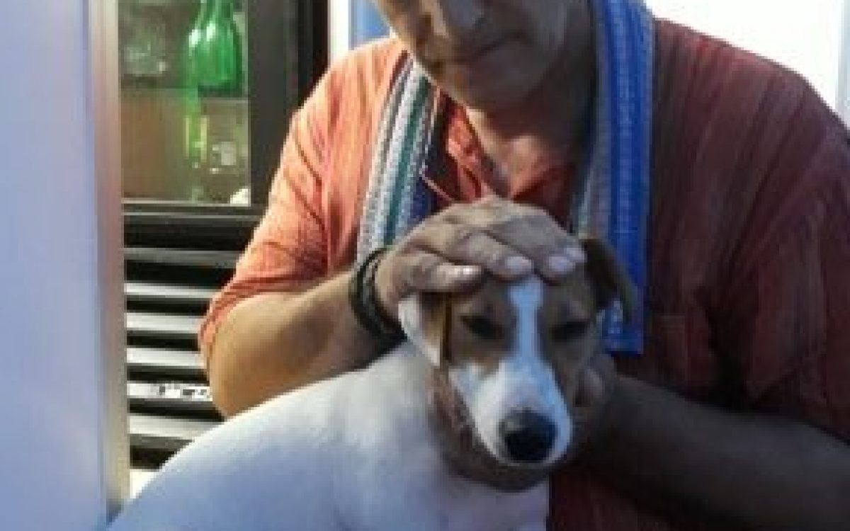 73228398_559274384977330_265611395239632318_n