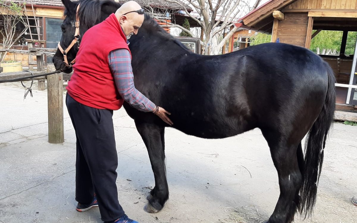 WhatsApp Image 2020-07-25 at 11.52.05