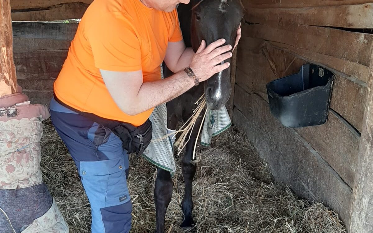 WhatsApp Image 2020-07-25 at 11.52.07 (1)