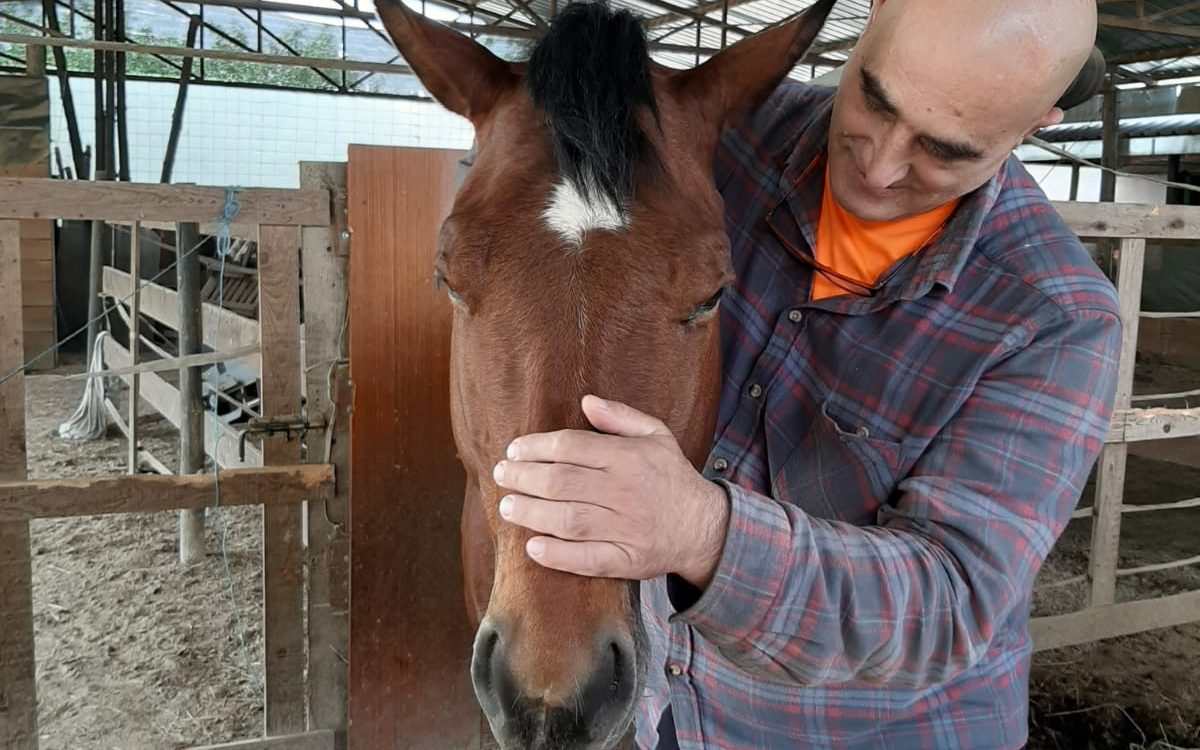 WhatsApp Image 2020-07-25 at 11.52.07 (2)